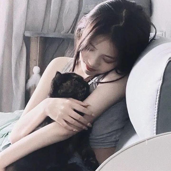 阿富汗骑士 封面